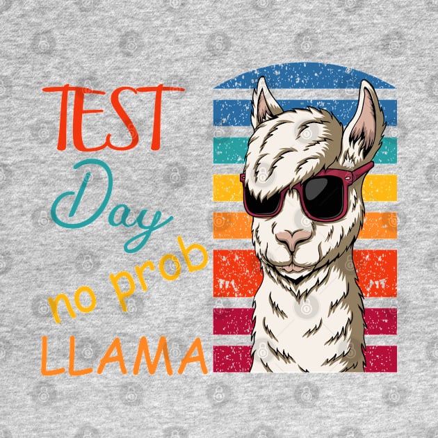 Test Day No Prob-Llama by IbrahemHassan